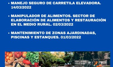 CONSULTA AQUÍ LOS CURSOS GRATUITOS OFERTADOS POR LA CONCEJALÍA DE EMPLEO