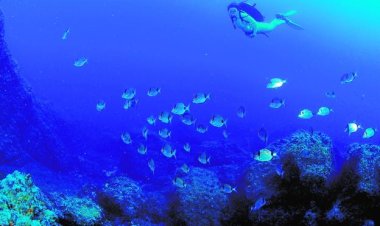 LA PLAYA DEL MOJÓN DE MAZARRÓN TENDRÁ UN MUSEO SUBACUÁTICO PARA IMPULSAR EL TURISMO DE BUCEO