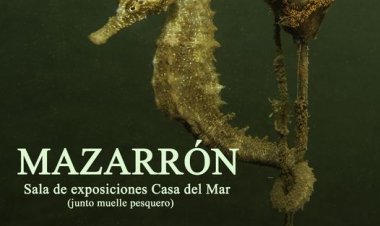 CONFERENCIA- EXPOSICIÓN DE FOTOGRAFÍAS SUBACUÁTICAS DE FLORA Y FAUNA INTERACTUANDO CON BASURA MARINA.