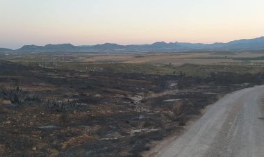Ayer, día 11 de julio a las 21.17h, la dirección de extinción dió por controlado el incendio que ha afectado a unas 40 hectáreas aproximadamente, en la pedanía mazarronera de El Saladillo.