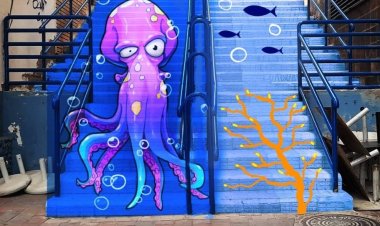 VOTA PARA PODER ELEGIR QUÉ DISEÑO PINTAR EN LAS ESCALERAS DEL PASEO MARÍTIMO FRANCISCO MARTÍNEZ MUÑOZ DE PUERTO DE MAZARRÓN