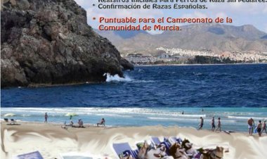 ‼️CAMBIO DE UBICACIÓN ‼️ El XI Concurso Camino Nacional de Mazarrón cambia su ubicación por posibles precipitaciones. La nueva ubicación  será en el Pabellón de la Cañadica, en Mazarrón