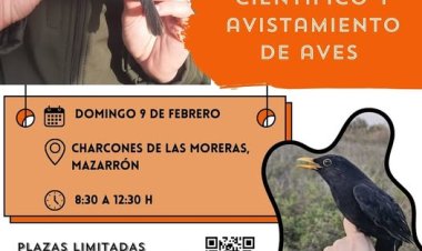 Este domingo se realizará una nueva jornada de anillamiento científico y avistamiento de aves en los Charcones de las Moreras de Mazarrón. ¡No te lo pierdas y ven a conocer la biodiversidad de aves de este complejo ecosistema!