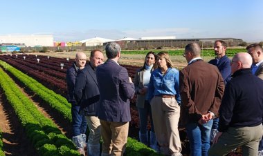 La investigación agraria en el Imida permite registrar 29 nuevas variedades de frutas en los últimos diez años