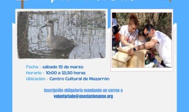 No te pierdas este fin de semana el taller de construcción de cajas nido para cerceta pardilla en el Centro Cultural de Mazarrón. Colabora en la mejora del hábitat del pato más amenazado de Europa.