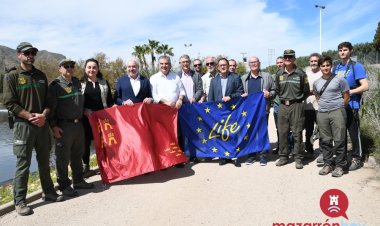 Esta mañana, la Laguna de las Moreras, en Mazarrón, ha sido el escenario de un importante hito ambiental: la suelta de 10 ejemplares de cerceta pardilla