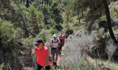 Las aves migratorias son las protagonistas este fin de semana en los Espacios Naturales de la Región