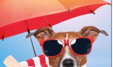 Playas para mascotas en Mazarrón