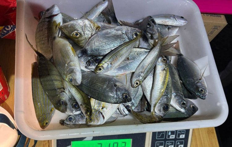 Se celebra el sexto social del Club de Pesca Puerto de Mazarrón