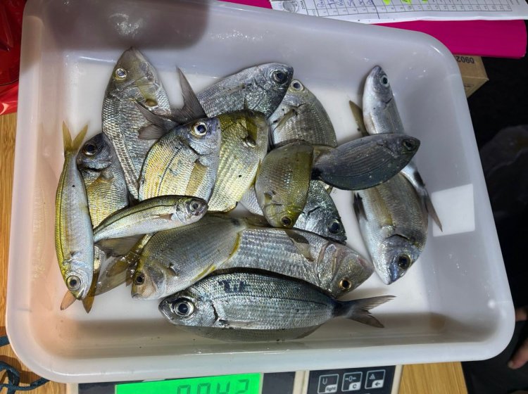 Se celebra el sexto social del Club de Pesca Puerto de Mazarrón