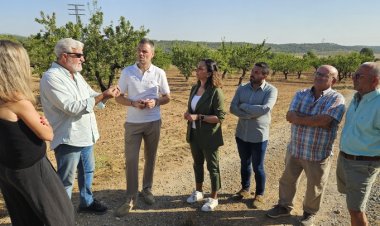 El Gobierno regional publica la convocatoria de ayudas por valor de 4,5 millones para los productores de almendro afectados por la sequía