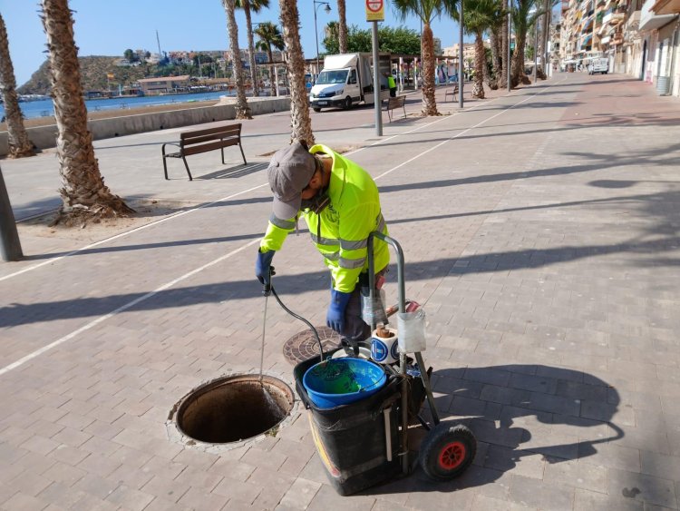 El Ayuntamiento de Mazarrón lleva a cabo más trabajos para controlar las plagas de roedores y cucarachas