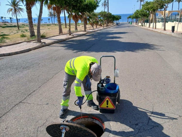 El Ayuntamiento de Mazarrón lleva a cabo más trabajos para controlar las plagas de roedores y cucarachas