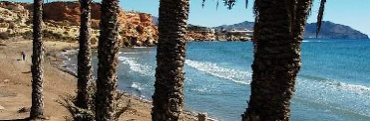 Playa Negra. Puerto de Mazarrón