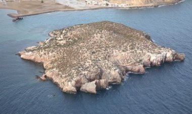 Playa de la Isla. Puerto de Mazarrón