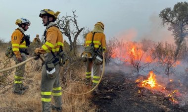 20 bomberos forestales de la Región salen hacia Extremadura, sustituyen al contingente que se encuentra desde el sábado combatiendo el fuego en la localidad cacereña de Aliseda