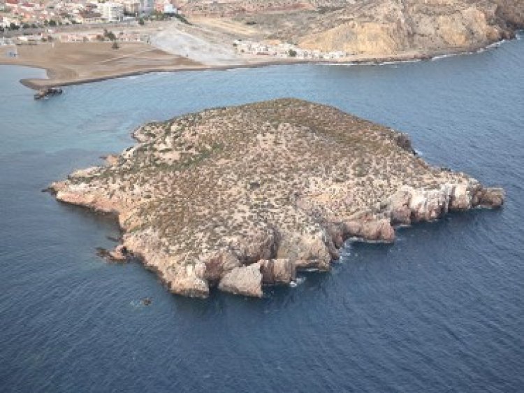 Playa de la Isla. Puerto de Mazarrón
