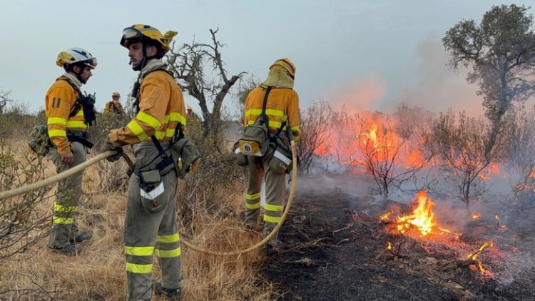 20 bomberos forestales de la Región salen hacia Extremadura, sustituyen al contingente que se encuentra desde el sábado combatiendo el fuego en la localidad cacereña de Aliseda