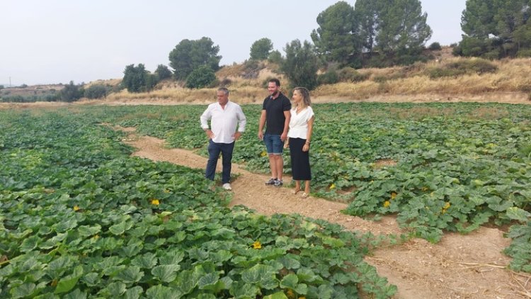 El Gobierno regional inicia el pago del segundo tramo de la ayuda a 228 jóvenes agricultores