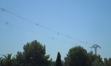 Medio Ambiente avanza en la adaptación de líneas eléctricas para proteger a la avifauna frente a la colisión y la electrocución