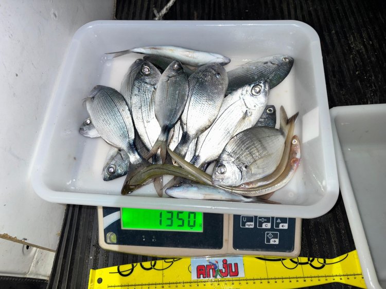 PAKICO SE LANZA A POR EL PODIUM