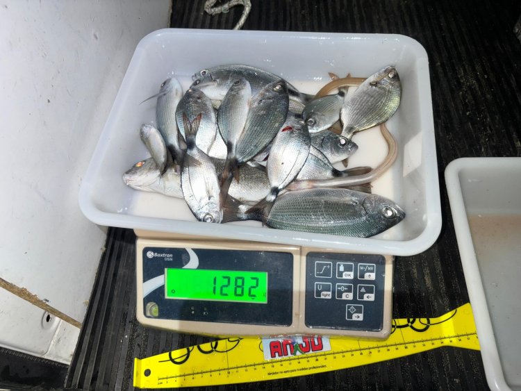 PAKICO SE LANZA A POR EL PODIUM