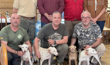 V Campeonato autonómico de Podenco Andaluz