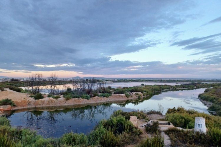 La Región se incorpora al proyecto europeo LIFE HumedalES para reforzar la conservación y restauración de humedales Natura 2000