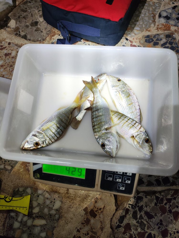 MARCOS ARTERO SE HACE CON EL PRIMER SOCIAL DE 2026