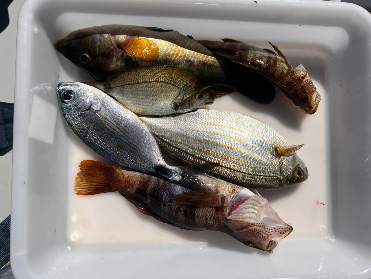 JUAN JOSÉ MTEZ SE HACE CON EL SEGUNDO SOCIAL DEL CLUB DE PESCA PUERTO DE MAZARRÓN