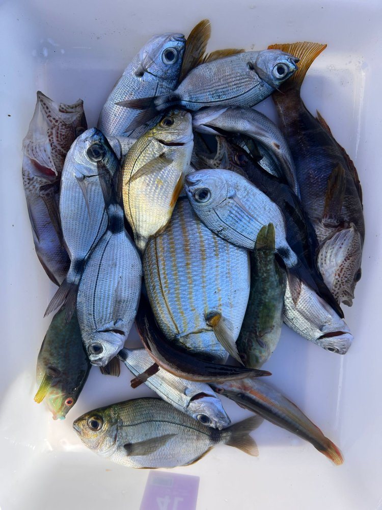 JUAN JOSÉ MTEZ SE HACE CON EL SEGUNDO SOCIAL DEL CLUB DE PESCA PUERTO DE MAZARRÓN