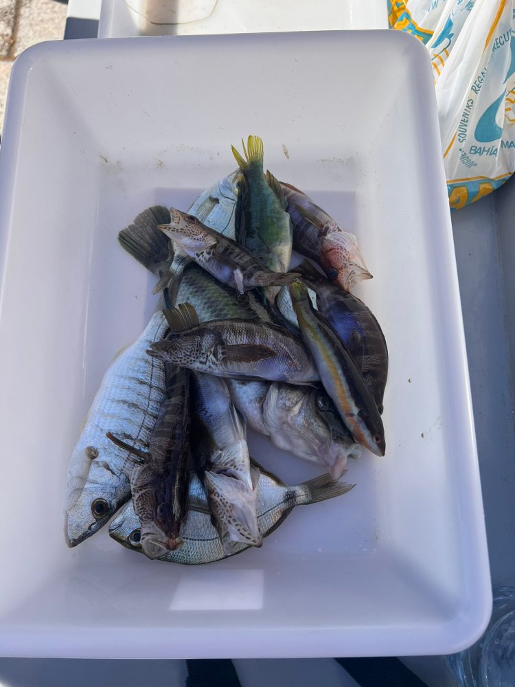 JUAN JOSÉ MTEZ SE HACE CON EL SEGUNDO SOCIAL DEL CLUB DE PESCA PUERTO DE MAZARRÓN