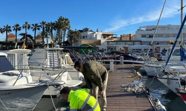 El Gobierno regional defiende la operatividad de los puertos y reclama menos trabas administrativas en la normativa estatal