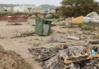 IU-Verdes denuncia abandono y basura junto al IES Antonio Hellín en Puerto de Mazarrón