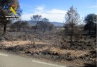Una quema de restos de poda agrícola, origen del incendio en Sierra Espuña que arrasó más de 400 hectáreas