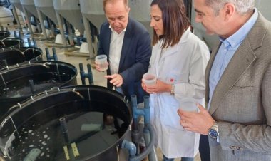 La Comunidad potencia la investigación en acuicultura de especies alternativas para el sector