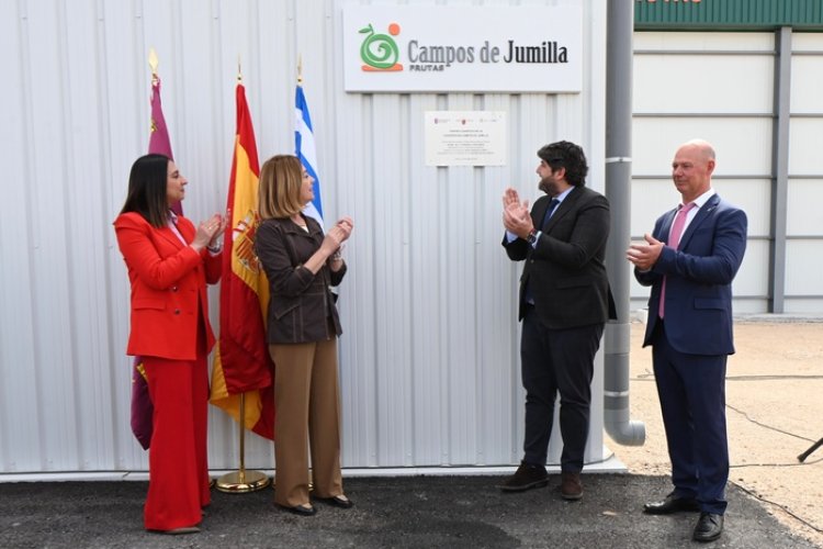 El Gobierno regional eleva al máximo la ayuda al seguro agrario en los ocho principales cultivos de la Región de Murcia