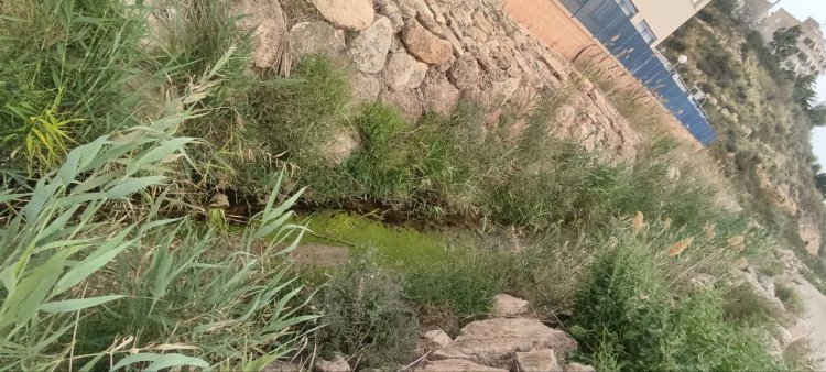 IU-Verdes denuncia abandono y basura junto al IES Antonio Hellín en Puerto de Mazarrón