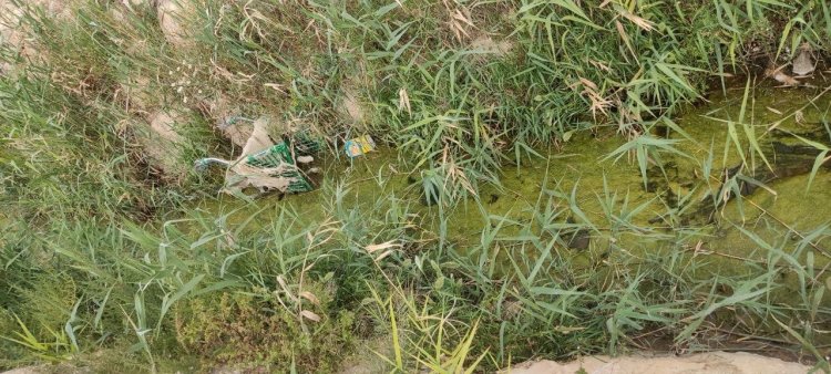 IU-Verdes denuncia abandono y basura junto al IES Antonio Hellín en Puerto de Mazarrón
