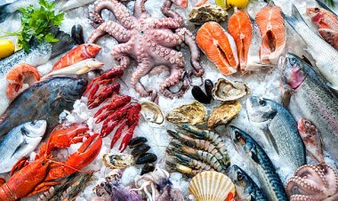 Buscas Restaurante en el Puerto de Mazarrón, aqui te facilitamos una guía donde puedes disfrutar de cualquier tipo de comida.......Comer en el Puerto de Mazarrón