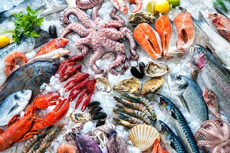 Buscas Restaurante en el Puerto de Mazarrón, aqui te facilitamos una guía donde puedes disfrutar de cualquier tipo de comida.......Comer en el Puerto de Mazarrón