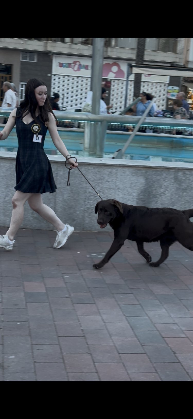 XIV Concurso Canino Nacional de Mazarrón en el paseo del Puerto de Mazarrón