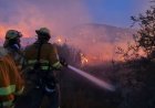 La Región refuerza la protección frente a incendios con inversiones en Pastrana (Mazarrón)