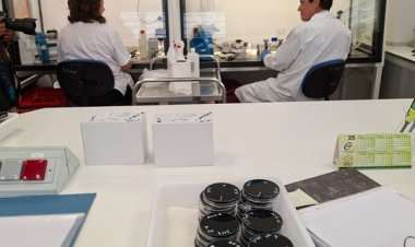 Salud refuerza la prevención de la legionelosis con una nueva campaña informativa y el incremento de inspecciones en verano