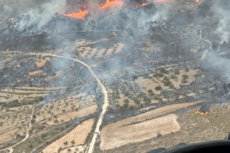 Servicios de emergencias trabajan en un incendio forestal en La Pinilla, pedanía de Fuente Álamo.