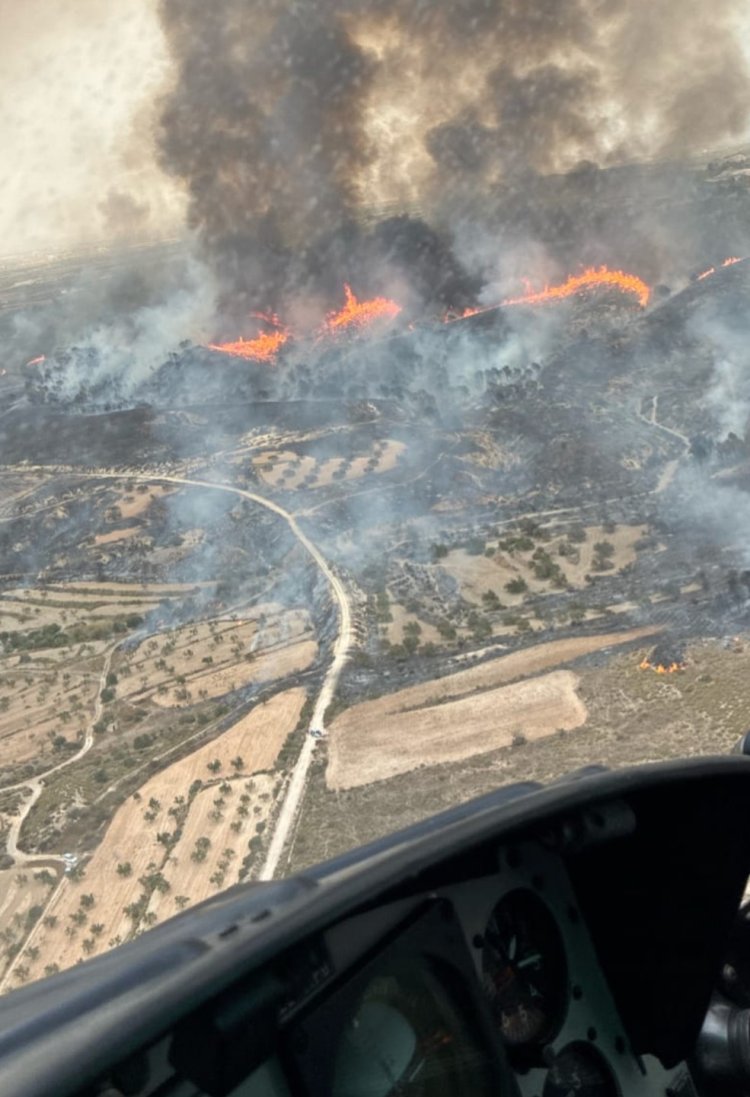 Servicios de emergencias trabajan en un incendio forestal en La Pinilla, pedanía de Fuente Álamo.