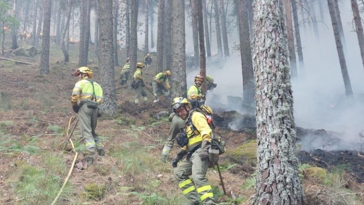 El contingente desplazado a los incendios de Ávila, Toledo y Madrid regresa a la Región tras cumplir su misión de apoyo para la extinción